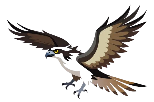 Osprey